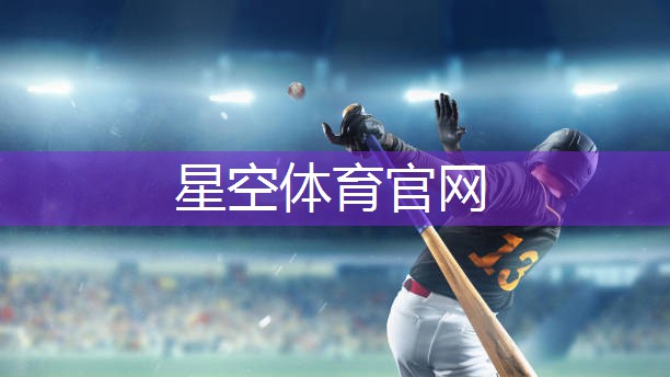 星空体育集团：全铝合金内嵌式片装围网