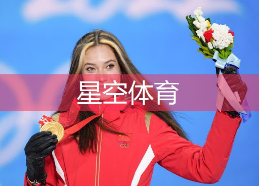羽毛球运动新宠：移动式羽毛球柱的安装与使用技巧