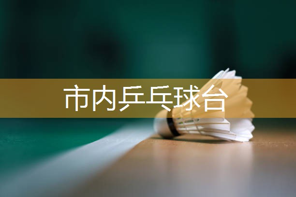市内乒乓球台