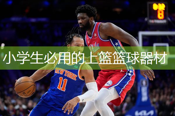 小学生必用的上篮篮球器材